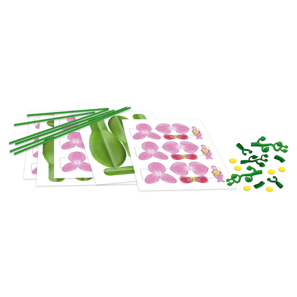 Imagen del producto 2
