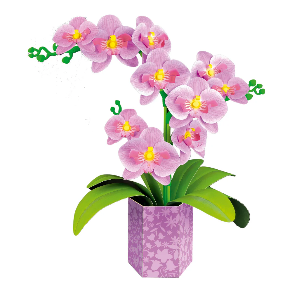 Imagen del producto 3